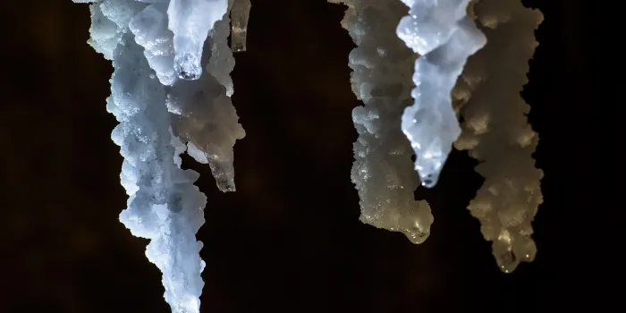 El Calisay acull l'exposició 'Cinc mirades fotogràfiques de les mines de sal de Cardona'