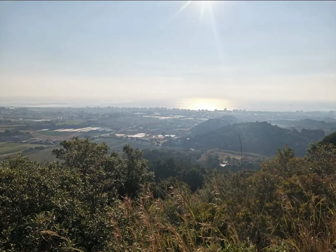 Dies de bonança fins divendres