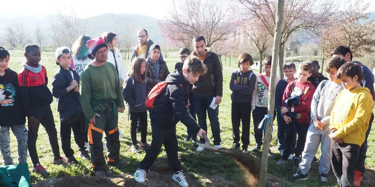 Un total de 170 escolars de la Seu d'Urgell celebren el Dia Mundial de l'Arbre