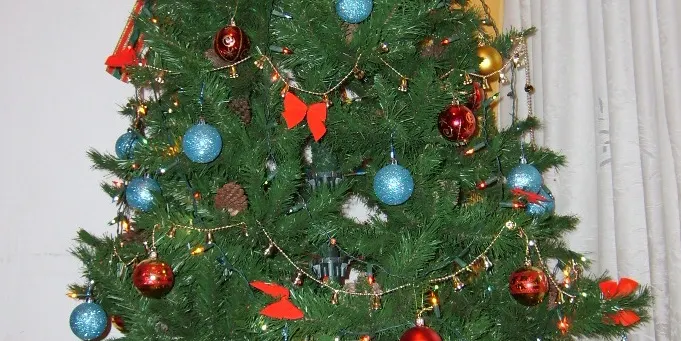 Punts de recollida de l’arbre de Nadal per al seu reciclatge