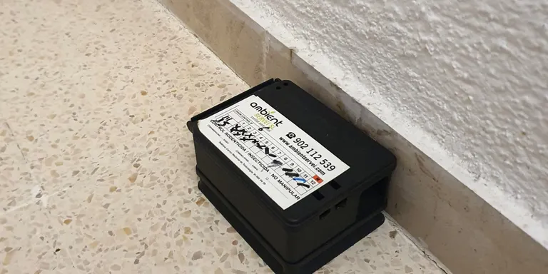 L’Ajuntament de Cambrils realitza 140 accions puntuals pel control de paneroles i 40 pel de rates aquest estiu