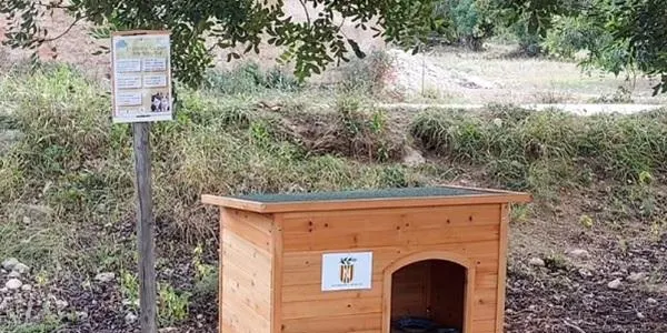 La Nou de Gaià crea zones específiques com a refugis per a gats ferals