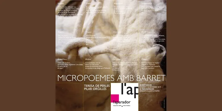 Exposició 'Micropoemes amb barret', a l'Aparador de la Seu