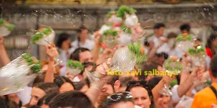 Avui qui vulgui pot aprendre a cantar els goigs de Sant Roc