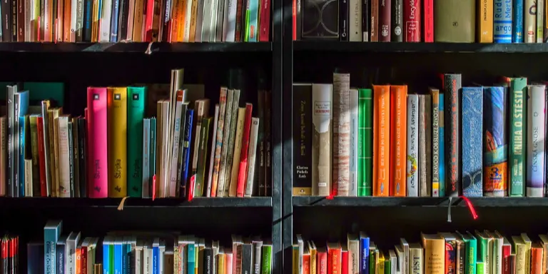 El govern català dona llum verda al programa temporal del Pla de millora de les biblioteques escolars