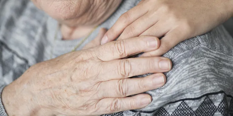 Les cases dels mestres acullen un entrenament en benestar emocional per a persones grans