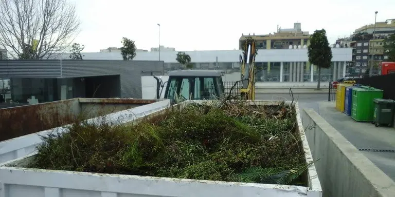 La deixalleria de Pineda recull els arbres de Nadal