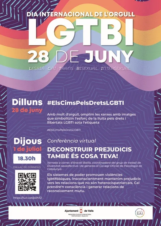 Valls commemora el Dia Internacional de l’Orgull LGTBI