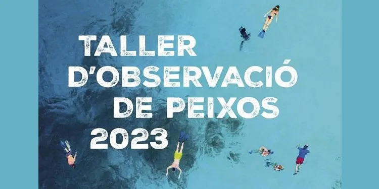 El Centre d’Estudis Sinibald de Mas organitzarà la 18a edició del Taller d’Observació de Peixos l’11 i el 12 d’agost a Torredembarra