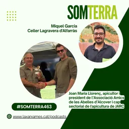 #277 - Som Terra amb Pili Garcia del 29/1/2025 - episode art