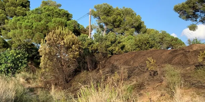 Ensurt per un petit incendi al voltant del Pavelló Municipal