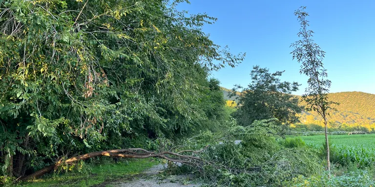 Una forta tempesta a l'Alt Urgell provoca inundacions i el tall d'una carretera