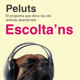 Peluts del 13/11/2019 - episode art