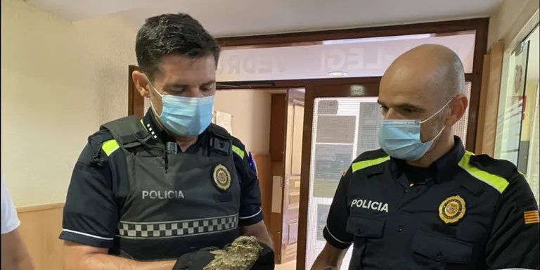 Alumnes d’ESO del Vidal i Barraquer troben una au protegida al pati del centre