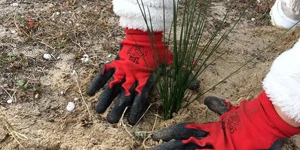 L’Associació Mediambiental La Sínia celebra el Dia Mundial de les Zones Humides