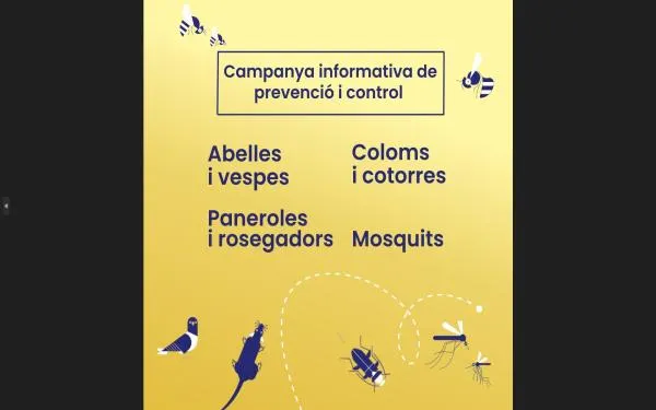 Foto: Ajuntament de Torredembarra