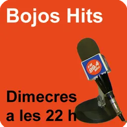 Bojos Hits del 29/7/2015 - episode art