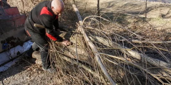 L'Ajuntament de la Seu neteja la llera de la canalització del Segre per prevenir futures crescudes