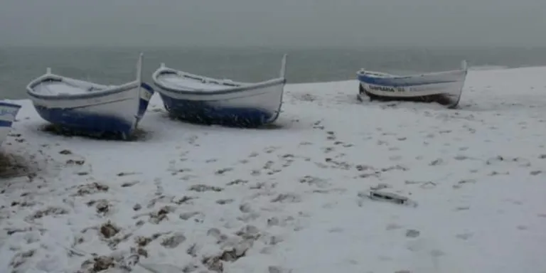 Avui fa 13 anys de la gran nevada que afectava també a Pineda