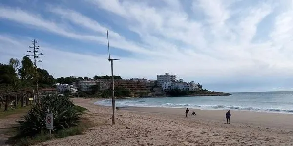La platja d’Altafulla enceta el camí cap a una gestió més sostenible i natural