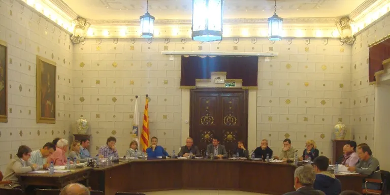 El ple de la Seu aprova congelar les taxes municipals