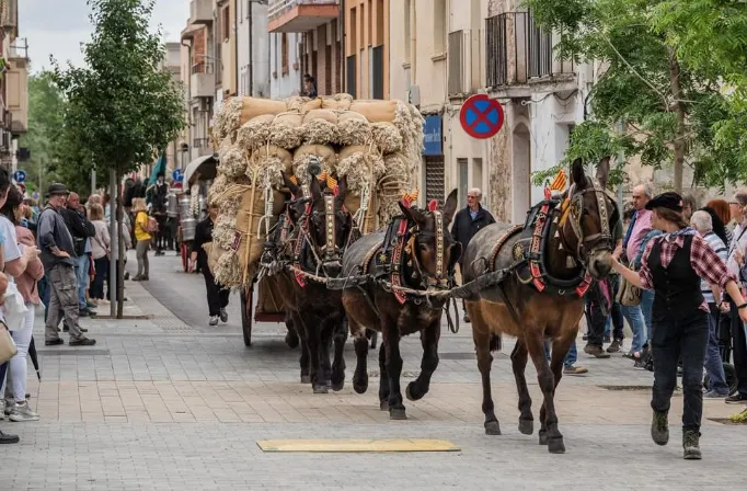 Tornen els actes clàssics a la festa de Sant Antoni 2024
