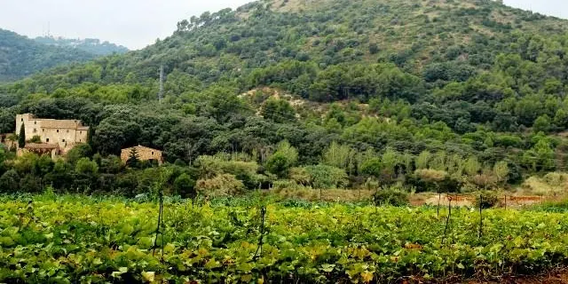 Es prohibeix totalment fer qualsevol tipus de foc en zones boscoses