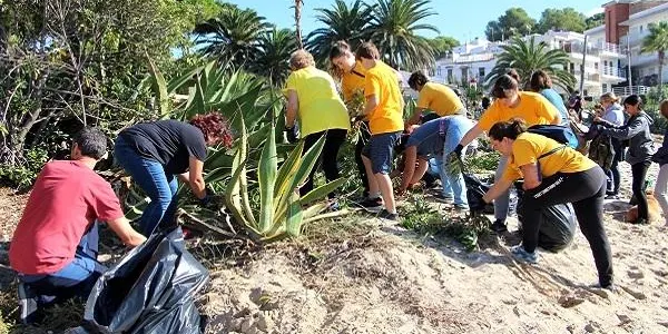La 8a edició del ‘Viu la platja!’ posa en valor el sistema dunar i la biodiversitat de la platja d’Altafulla