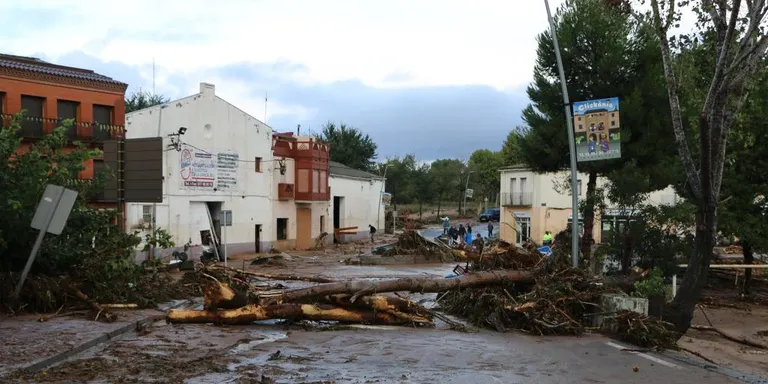 Demà es posa en marxa la Biblioplatja a la plaça de les Palmeres