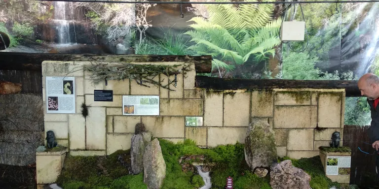 La Estación Biológica – Finca Torretes cuenta desde el domingo 24 de febrero, con un Briofitario único en Europa