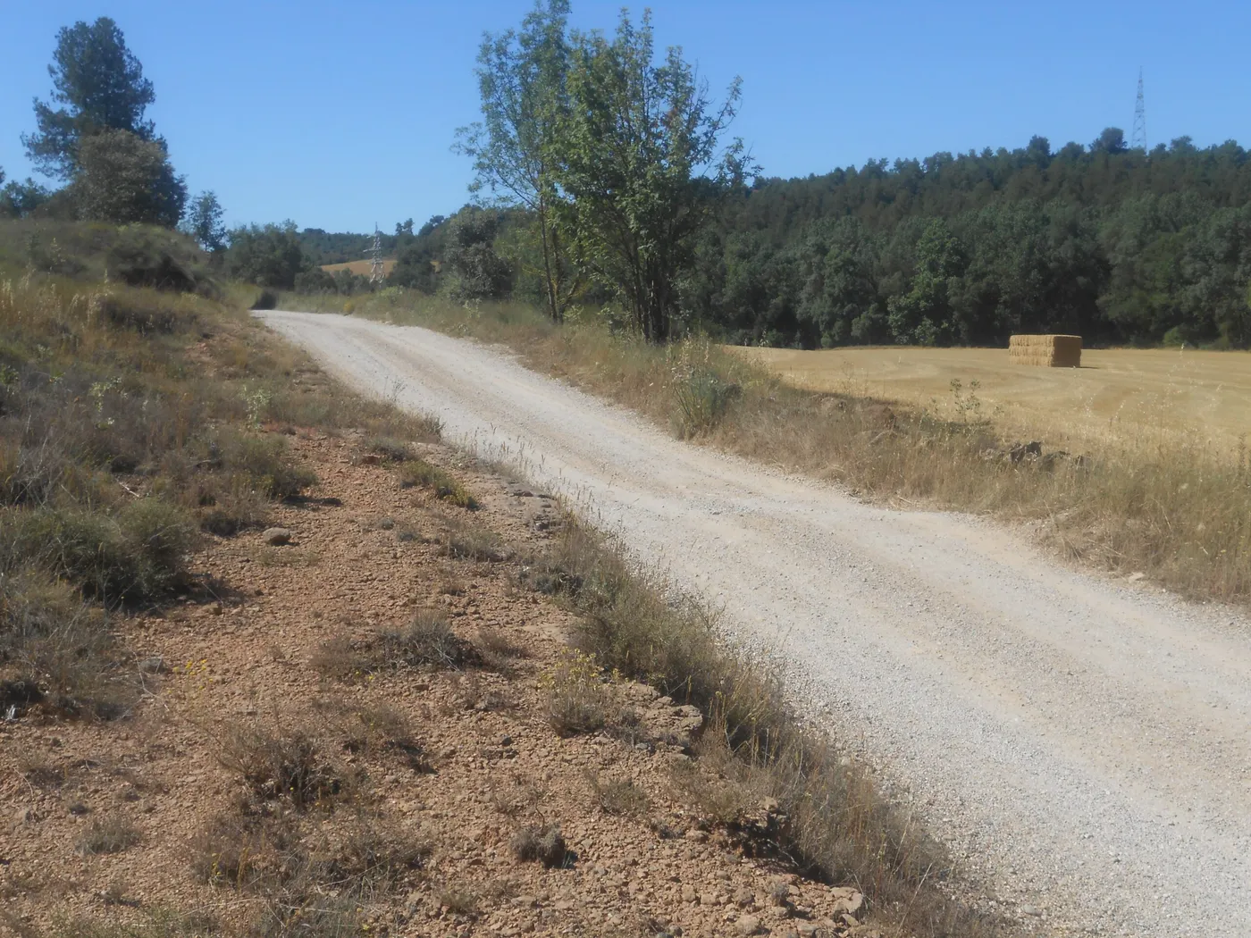 Dijous començaran les obres de millora d'un tram del camí de Solsona a Riner