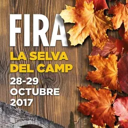 Especial: Fira 2017 - Matí diumenge - Part 6 - episode art