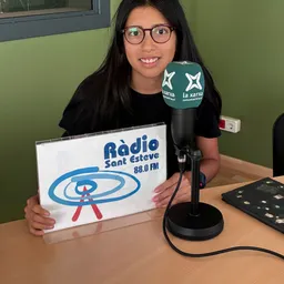 FQ -Núria Rojas parla de l’ús del mòbil a l’institut_ Escriure a mà els apunts ( manuscrits) o amb ordinador - episode art