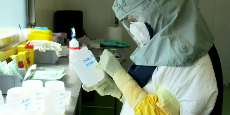 Viròlegs de l’Institut de Recerca Agroalimentària del Departament d’Agricultura aporten pistes de la proteïna del coronavirus