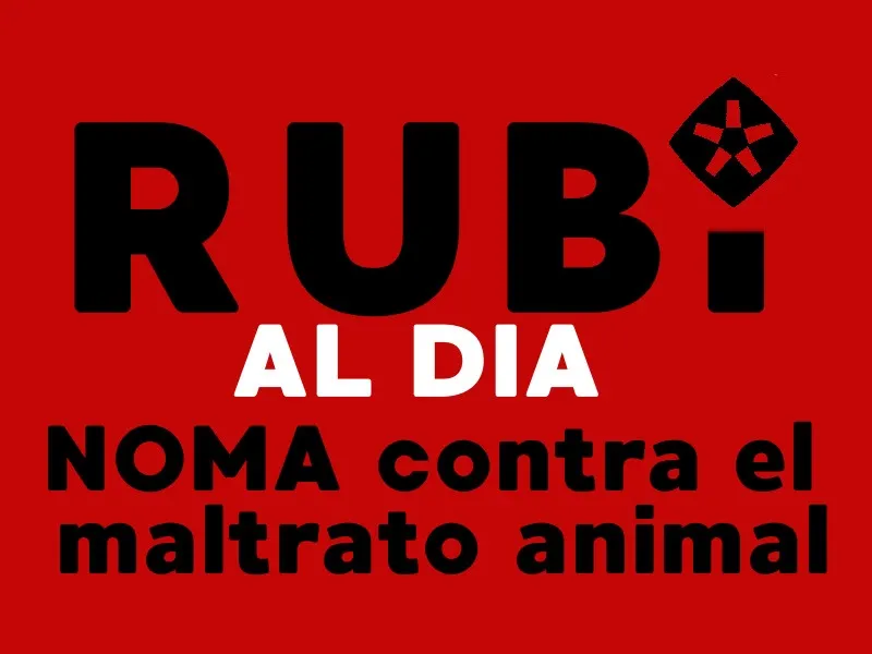 RUBÍ AL DIA dimecres 28 NOVEMBRE 2018