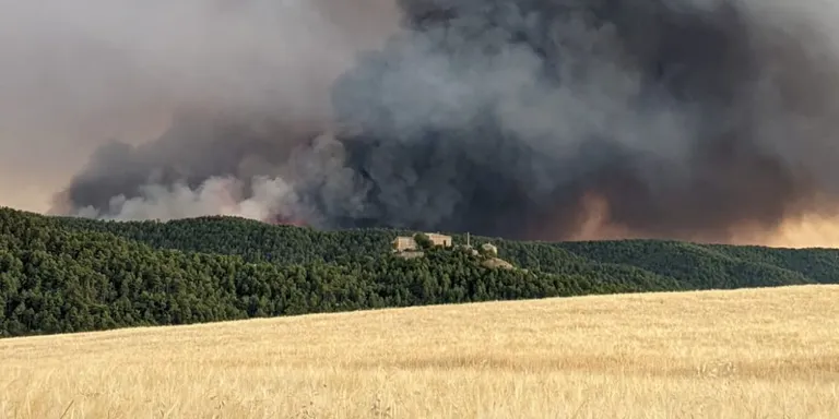 Solsona acollirà dijous vinent la presentació del pla per afrontar els incendis forestals a la Catalunya Central