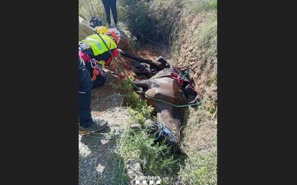 Foto: Bombers de la Generalitat