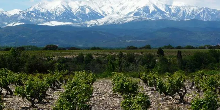 Pesillà de la Ribera, segon municipi nord-català al FeMAP 2018