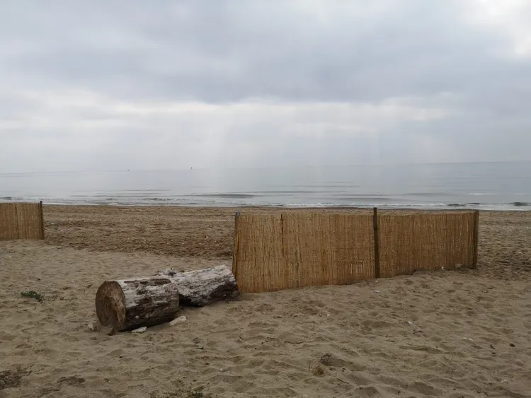 La Diputació convoca el 17è Premi Iniciativa Medi Ambient que promou actuacions dels ens locals