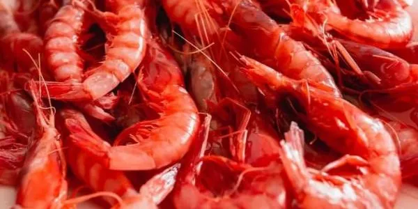 La pesca d’arrossegament podrà sortir a mar 143 dies durant l’any vinent