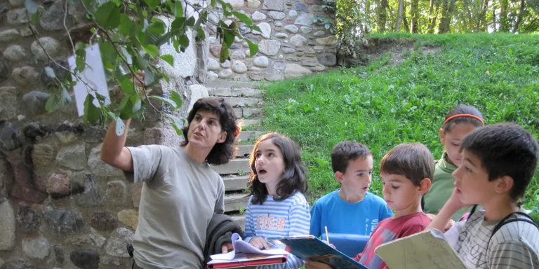 Parcs i Jardins ensenya els arbres de la Seu als escolars