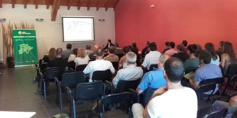 Els ramaders han presentat els darrers deu anys més de 500 reclamacions per atacs de voltors al bestiar