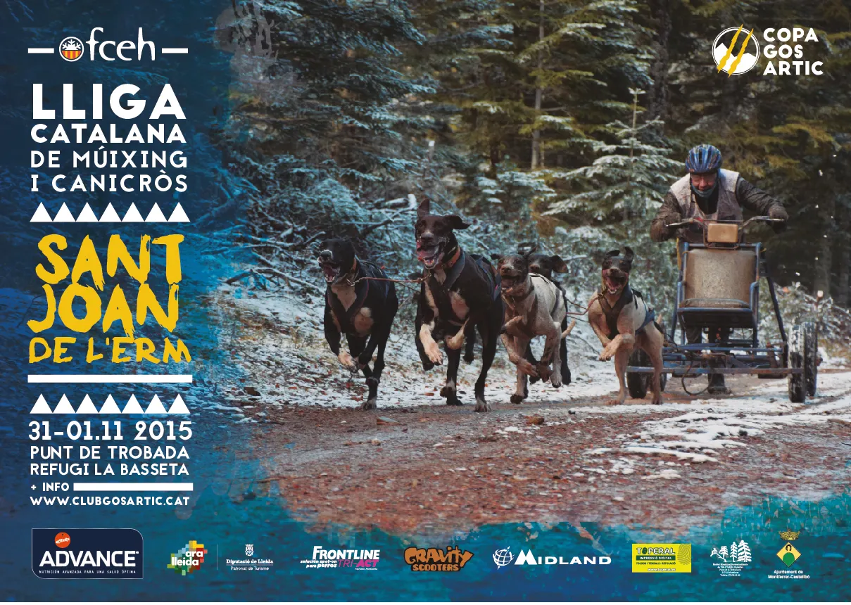 Cartell de la II Copa Gos Àrtic a Sant Joan de l'Erm
