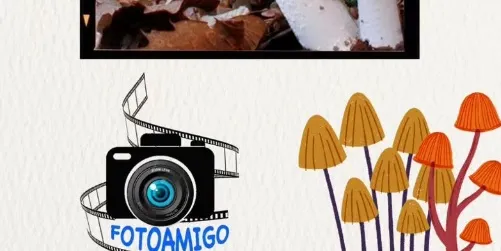 Fotoamigo organitza una sortida a la Mussara aquest diumenge