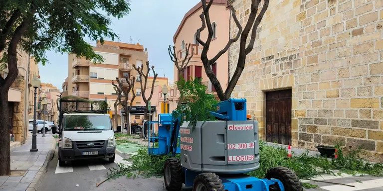 Es realitzen treballs de poda als arbres del carrer Major