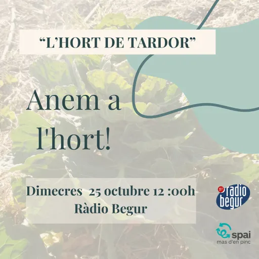 ANEM A L'HORT 20/11/2024