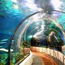 Entrevista a Patrici Bultó (Aquarium)