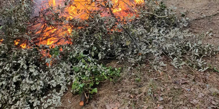 La campanya forestal d’estiu s’avança malgrat la pluja