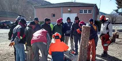 El Consell de l'Alt Urgell contracta 14 persones dins del programa Treball i Formació