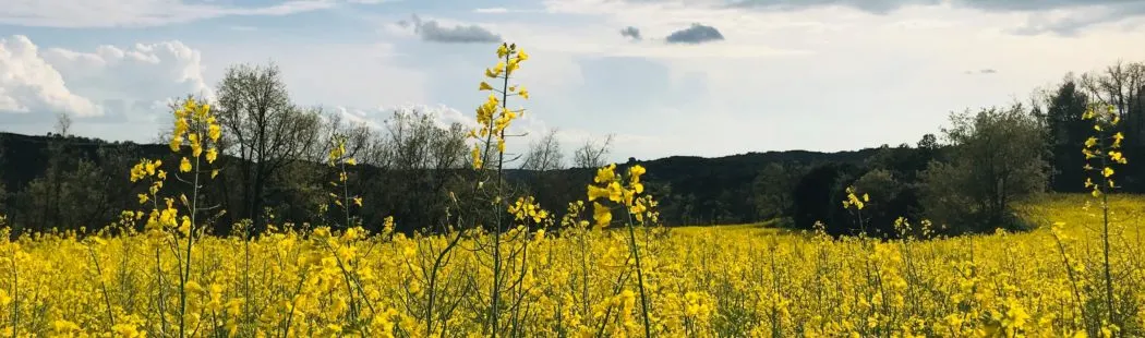 Territori de Masies tanca el sondeig de compra col·lectiva de plaques solars al Solsonès amb 89 persones interessades